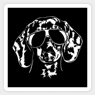 Funny Proud Dachshund sunglasses cool Sausage dog Sticker